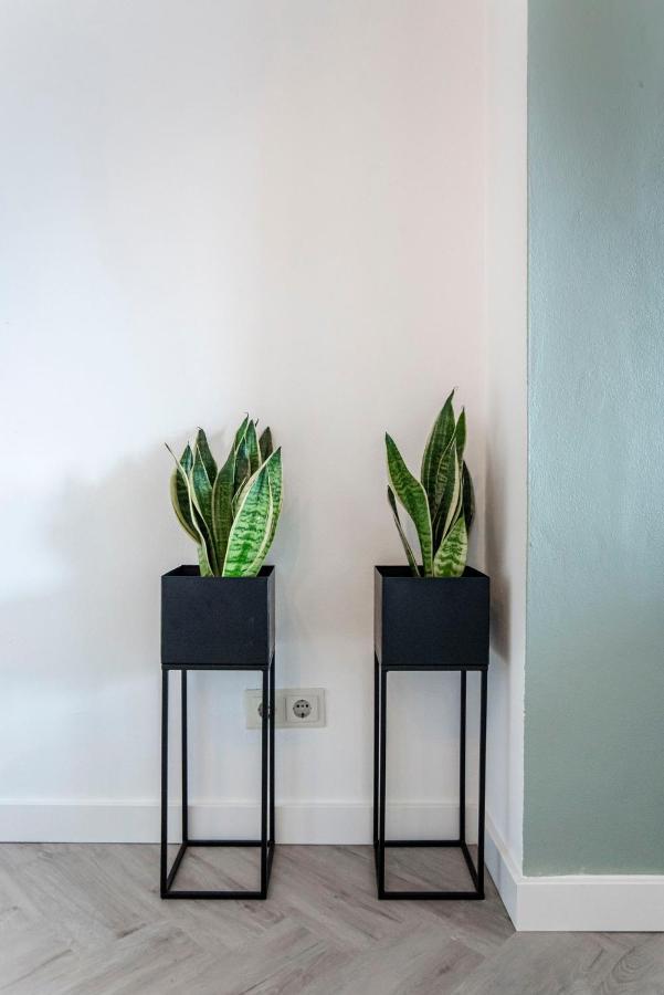 Appartement En Studio Papillon Zandvoort Zewnętrze zdjęcie