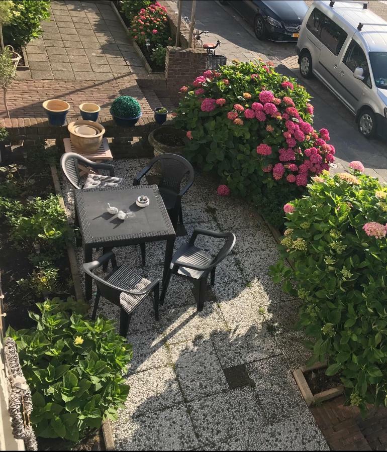 Appartement En Studio Papillon Zandvoort Zewnętrze zdjęcie